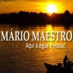 Mário Maestro