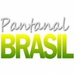 Pantanal Brasil
