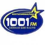 Radio 1001 100.7 FM