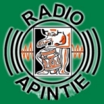 Radio Apintie 97.1 FM