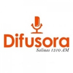 Rádio Difusora Salinas 1310 AM