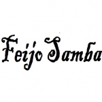 Rádio Feijo Samba