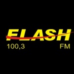 Rádio Flash 100.3 FM