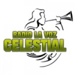 Radio La Voz Celestial 90.5 FM
