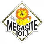 Radio Megasite 101.1 FM