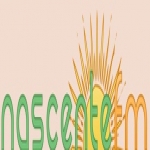 Rádio Nascente 105.9 FM