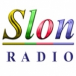 Radio Slon 89 FM