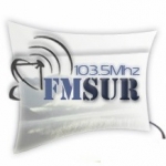 Radio Sur 103.5 FM