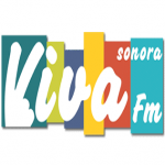 Rádio Viva Sonora 91.9 FM