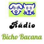 Web Rádio Bicho Bacana