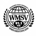 WMSV 91.1 FM